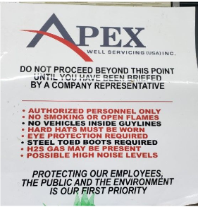 Apex custom sign - Image 1
