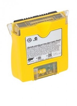 BW Replacement Battery - Image 2